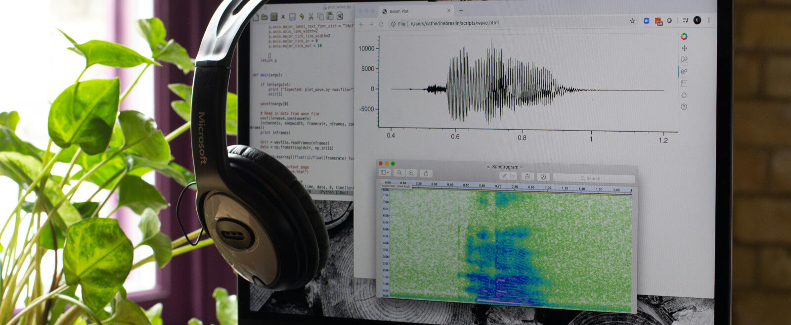 Votre spécialiste de l'audition en France vous parle du spectrogramme